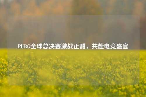 PUBG全球总决赛激战正酣，共赴电竞盛宴