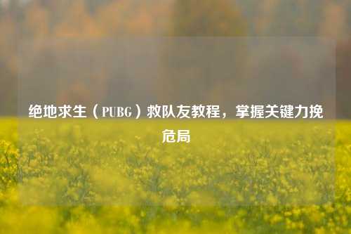 绝地求生（PUBG）救队友教程，掌握关键力挽危局