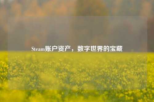 Steam账户资产，数字世界的宝藏