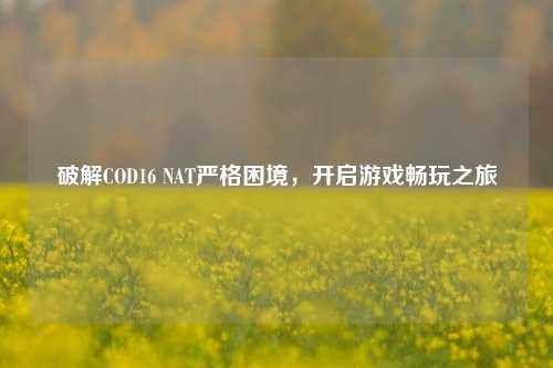 破解COD16 NAT严格困境，开启游戏畅玩之旅