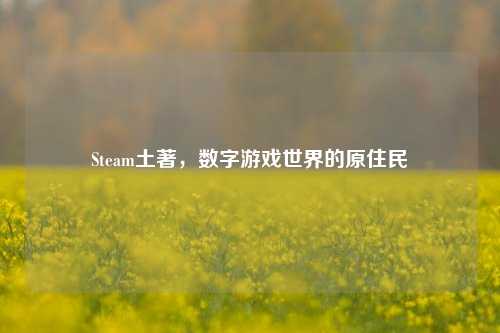 Steam土著，数字游戏世界的原住民