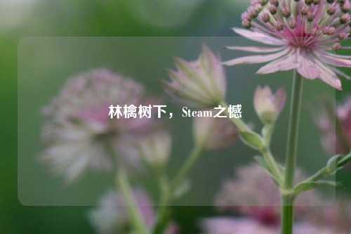 林檎树下，Steam之憾