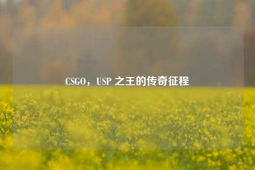 CSGO，USP 之王的传奇征程