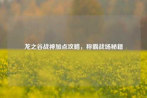 龙之谷战神加点攻略，称霸战场秘籍