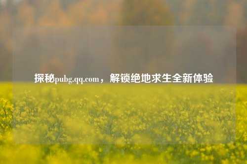 探秘pubg.qq.com,解锁绝地求生全新体验
