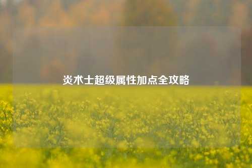 炎术士超级属性加点全攻略