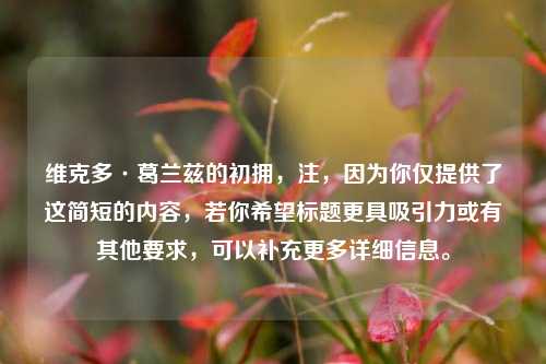 维克多·葛兰兹的初拥，注，因为你仅提供了这简短的内容，若你希望标题更具吸引力或有其他要求，可以补充更多详细信息。