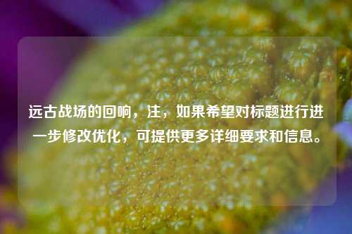 远古战场的回响，注，如果希望对标题进行进一步修改优化，可提供更多详细要求和信息。