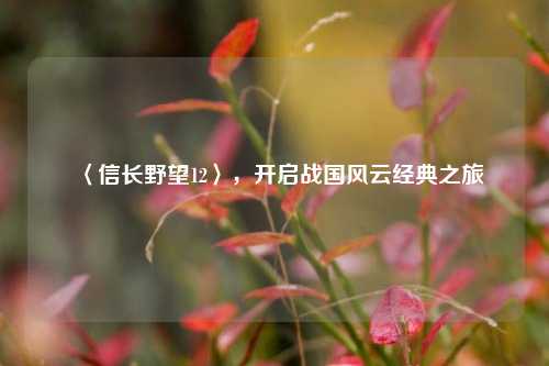 〈信长野望12〉，开启战国风云经典之旅