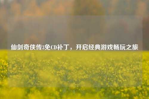 仙剑奇侠传3免CD补丁，开启经典游戏畅玩之旅