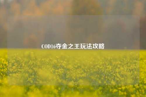 COD16夺金之王玩法攻略