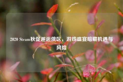 2020 Steam秋促邂逅俄区，游戏盛宴暗藏机遇与风险