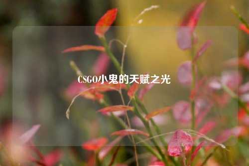 CSGO小鬼的天赋之光