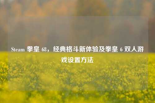 Steam 拳皇 68，经典格斗新体验及拳皇 6 双人游戏设置方法