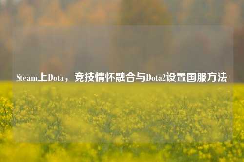 Steam上Dota，竞技情怀融合与Dota2设置国服方法