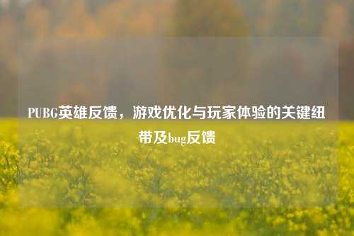 PUBG英雄反馈，游戏优化与玩家体验的关键纽带及bug反馈