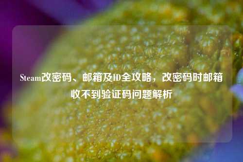 Steam改密码、邮箱及ID全攻略，改密码时邮箱收不到验证码问题解析