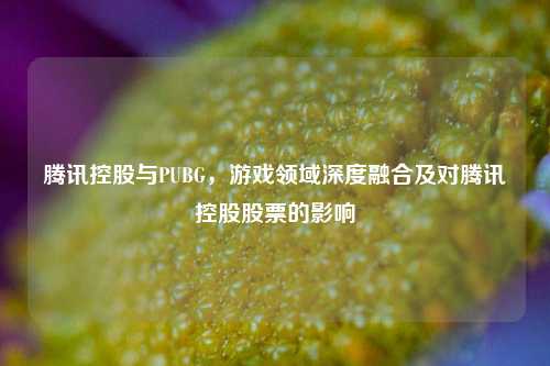 腾讯控股与PUBG，游戏领域深度融合及对腾讯控股股票的影响