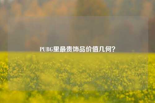 PUBG里最贵饰品价值几何？