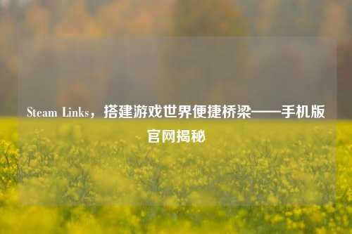 Steam Links，搭建游戏世界便捷桥梁——手机版官网揭秘