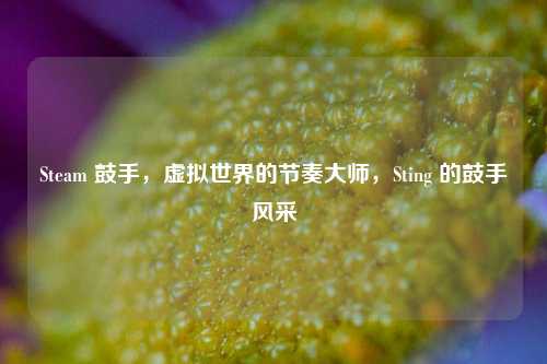 Steam 鼓手，虚拟世界的节奏大师，Sting 的鼓手风采