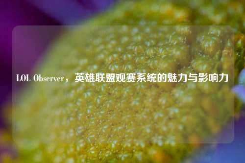 LOL Observer，英雄联盟观赛系统的魅力与影响力