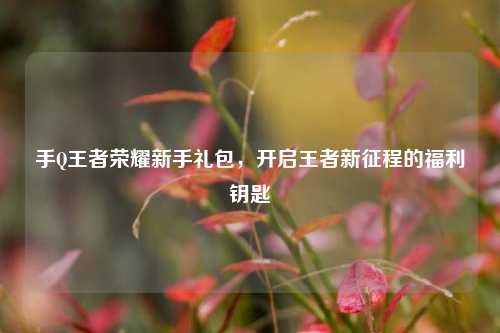 手Q王者荣耀新手礼包，开启王者新征程的福利钥匙