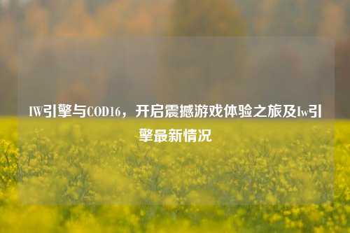 IW引擎与COD16，开启震撼游戏体验之旅及Iw引擎最新情况