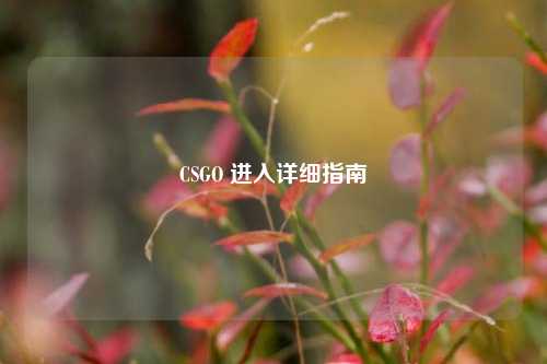 CSGO 进入详细指南