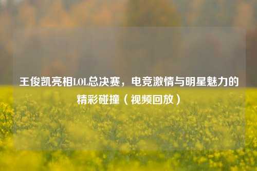 王俊凯亮相LOL总决赛，电竞激情与明星魅力的精彩碰撞（视频回放）