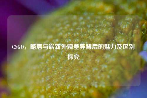 CSGO，略磨与崭新外观差异背后的魅力及区别探究