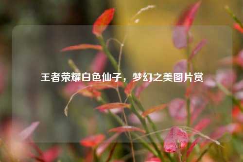 王者荣耀白色仙子,梦幻之美图片赏