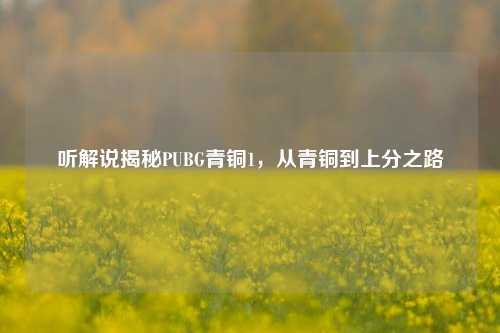 听解说揭秘PUBG青铜1，从青铜到上分之路