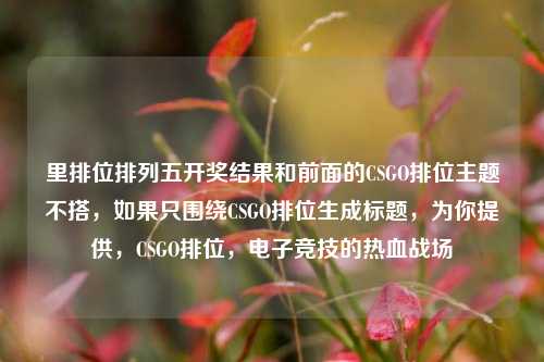 里排位排列五开奖结果和前面的CSGO排位主题不搭，如果只围绕CSGO排位生成标题，为你提供，CSGO排位，电子竞技的热血战场