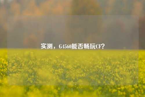 实测，G4560能否畅玩CF？