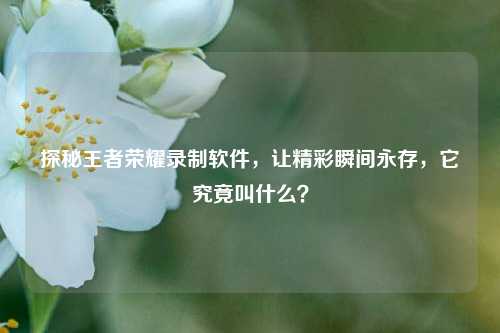探秘王者荣耀录制软件，让精彩瞬间永存，它究竟叫什么？