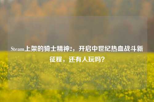 Steam上架的骑士精神2，开启中世纪热血战斗新征程，还有人玩吗？