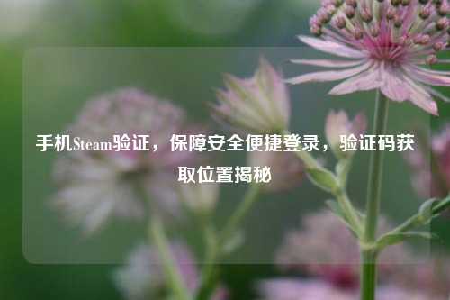手机Steam验证，保障安全便捷登录，验证码获取位置揭秘
