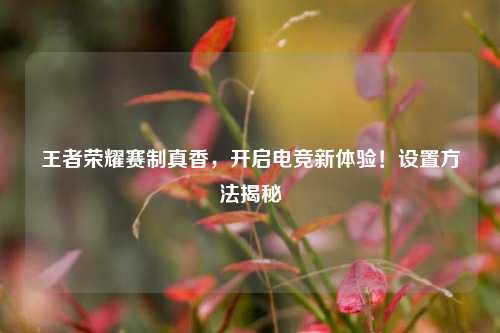 王者荣耀赛制真香，开启电竞新体验！设置方法揭秘