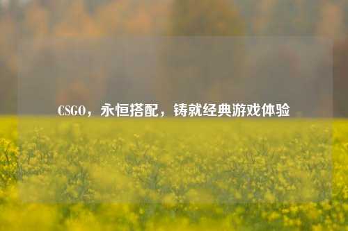 CSGO，永恒搭配，铸就经典游戏体验