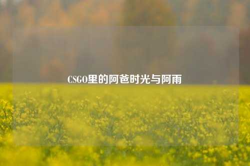 CSGO里的阿爸时光与阿雨