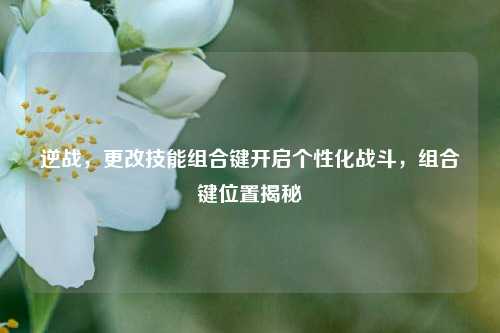 逆战,更改技能组合键开启个性化战斗,组合键位置揭秘