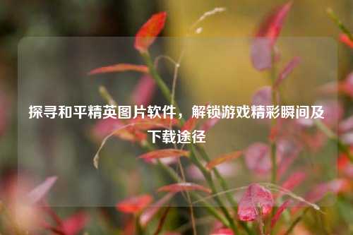 探寻和平精英图片软件，解锁游戏精彩瞬间及下载途径