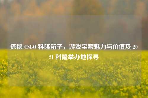 探秘 CSGO 科隆箱子，游戏宝藏魅力与价值及 2021 科隆举办地探寻