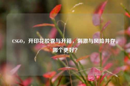 CSGO,开印花胶囊与开箱,刺激与风险并存,哪个更好?