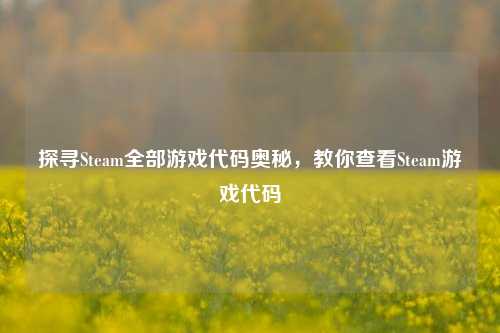 探寻Steam全部游戏代码奥秘，教你查看Steam游戏代码