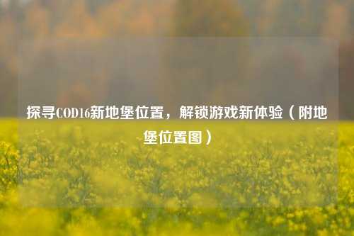 探寻COD16新地堡位置,解锁游戏新体验(附地堡位置图)