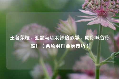 王者荣耀，亚瑟与项羽深度教学，助你峡谷称霸！（含项羽打亚瑟技巧）