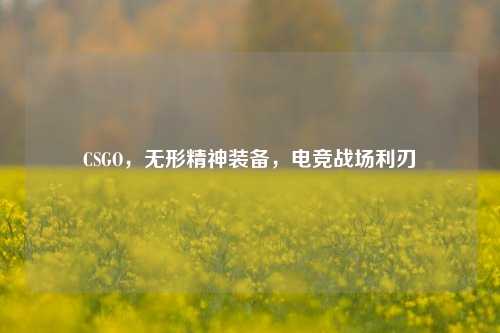 CSGO，无形精神装备，电竞战场利刃