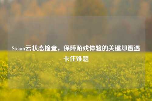 Steam云状态检查,保障游戏体验的关键却遭遇卡住难题